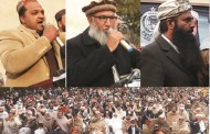 جمعیت علماء اسلام نے کسی کو بھی ٹکٹ نہیں دیا، قاری محمود
