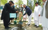 سوات میں شجر کاری مہم شروع، کمشنر اور ڈی ائی جی نے پودا لگا دیا