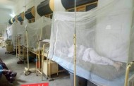 ڈینگی بخار وباء بن گئی،سوات میں سیکڑوں افراد ڈینگی کا شکار