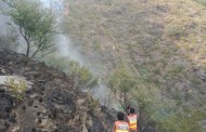 سوات: جنگلوں اوراسکے قریبی مقامات میں آگ لگانے پر پابندی نافذ