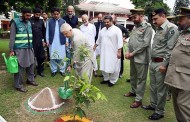 سوات سمیت صوبہ بھر میں تین کروڑ 75 لاکھ پودے لگائے جائیں گے ، وزیراعلیٰ محمود خان