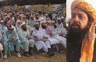 جے یوائی جمہوریت کی جنگ لڑرہی ہے، مولانا امجد