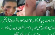 خوازہ خیلہ باولے کتوں کا لوگوں پر حملہ،22 افراد زخمی،ویکسین ناپید