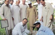 سوات پریس کلب میں شجرکاری کے حوالے سے پودا لگایا گیا