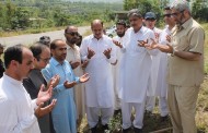 سوات یونیورسٹی کے زیراہتمام زیتون کی شجرکاری مہم کاآغازکردیاگیا