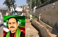 خدا خدا کرکے فضل حکیم صاحب نے ایکشن لے لیا، لیکن تب جب درخت کاٹے گئے
