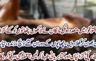 پشاور کے ہوٹلوں میں بھی پنجاب کی طرح کتوں کاگوشت کھلایا جانے لگا۔ انکشاف