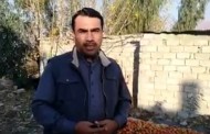 ٹماٹر کاشت کرنیوالوں کو کتنا نقصان پہنچا