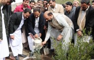 حلقہ پی کے 5، شجر کاری مہم میں فضل حکیم کتنے پودے لگائیں گے، جان کر اپ بھی خوش ہو جائین گے