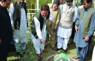 ضم شدہ قبائلی اضلاع کی دوبارہ بحالی و آباد کاری اولین ترجیحات ہیں۔وزیر زراعت محب اللہ