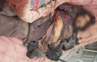 بونیرپولیس نے شہید ساتھی کے دہشت گرد قاتل کو اپریشن کے دوران ماردیا