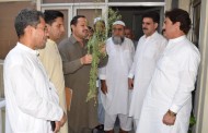 زراعت و لائیوسٹاک کے جاری منصوبوں پر کام تیز اور نئے منصوبے جلد شروع کئے جائیں، محب اللہ خان