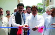 کانگو وائرس کی روک تھام کے لئے بھرپور اقدامات کیے جائیں، محب اللہ خان