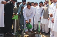 ملک میں مزید 10 بلین پودے لگائے جا رہے ہیں، صوبائی وزیر زراعت محب اللہ خان