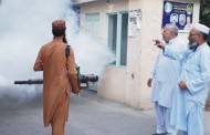 ڈینگی بخار کا کامیاب ہومیوپیتھک علاج