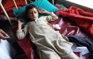 وادی کالام میں باولے کتوں نے ایک گھنٹہ مین 6 بچوں پر حملہ کردیا،ہسپتال میں ویکسین موجود نہیں