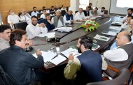 زمینداروں کو زرعی پیداوار بڑھانے کے لیے سہولیات کی فراہمی کو یقینی بنایا جائے، وزیر زراعت