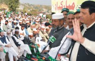 تحریک انصاف کو صرف پگڑیاں اُچالنا آتاہے،امیر مقام
