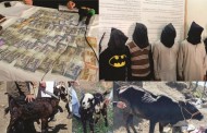 سوات، ننگولئی میں مویشیاں چوری کرنیوالا گروہ گرفتار