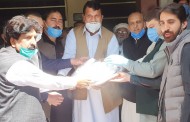 عمران نیازی نے اپنوں کو نوازنے کیلئے ٹائیگرفورس بنایا،امیر مقام