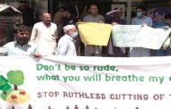 جنگلات کی بے دریغ کٹائی، سول سوسائٹی کا  ”ونہ بچ کڑیی“ کے نام سے مہم کا آغاز