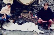 چترالی نوجوان نے نایاب نسل کےبرفانی چیتے کی جان بچالی