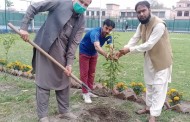 تمام اضلاع میں قائم کھیلوں کے میدانوں کے اطراف میں پودے لگا ئے جائینگے،حامدعلی