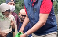 وزیراعظم عمران خان کی ہدایت پردس ارب درخت لگائیں گے،ملک امین اسلم