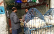 پولٹری کو سرکاری نرخنامے سے زیادہ قیمت پر فروخت کرنے والے دوکانداروں کے خلاف کاروائی