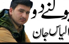جنگل کا قتل عام