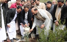 خیبر پختونخوا میں بلین ٹری سونامی کے تحت پرعزم انداز میں پودوں کی شجر کاری مہم