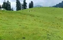نہاگدرہ دیر اپر ، گاوں بڈالئی کی خوبصورتی دیکھنے کےقابل