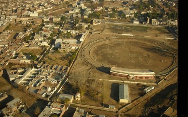 Grassy Ground Swat