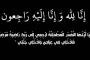 عوامی نیشنل پارٹی کے منتخب کونسلر کے اعزاز میں ظہرانے کا اہتمام
