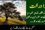 شہداء پولیس کے لواحقین کو درپیش مسائل فوری حل کرینگے، ڈی پی او واحد محمود