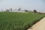 تھانہ مینگورہ کے قریب رات کے تاریکی میں نا معلوم چوروں نے دکان کا صفایا کردیا