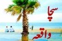 گاوں کوکارئی میں پولیس کا جرائم پیشہ افراد کیخلاف جرگہ ، عوام سے تعاون کی اپیل