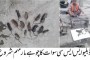 یکم اگست سے پٹرول نرخ پڑھانے کا امکان