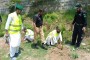 خیبر پختون خواہ سرکار گڈاگڈی کا کھیل 3 سالوں میں 12 وزیر فارغ ،30 مرتبہ وزارتوں میں ردوبدل