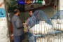 وزیراعلی محمود خان نے پکڑےگئے2نایاب باز ازاد چھوڑدئیے