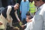 ونیورسٹی اف سوات میں شجر کاری مہم کا افتتاح سرسبز و شاداب بناناہے،ڈاکٹر جمال خٹک
