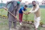 چارباغ میں شجر کاری مہم ,مختلف علاقوں میں 2600 پودے لگائے گئے