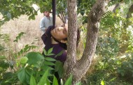 سوات، درخت سے لٹکی لاش کو ورثاء کی تلاش