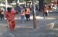 سوات،واسا نے جنگلات کی صفائی کاکام شروع کردیا