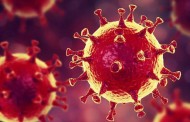 ملک بھر میں کورونا وائرس سے مزید 85 افراد جاں بحق