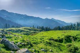 Govt Announced the upper swat District said Jirga of upper swat
