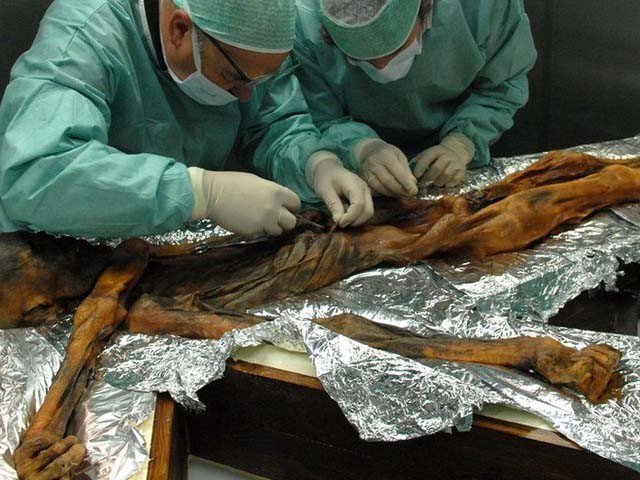 یورپ کی قدیم ترین ممی ’اوٹزی‘ کی آخری خوراک کیا تھی؟  سائنس دانوں نے معلوم کرلیا