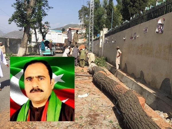 جناب فضل حکیم صاحب ہسپتال کے بعد اب تاریخی اور پرانے درختوں کو بھی کاٹا جارہا ہے، شائد اپ کو علم نہیں