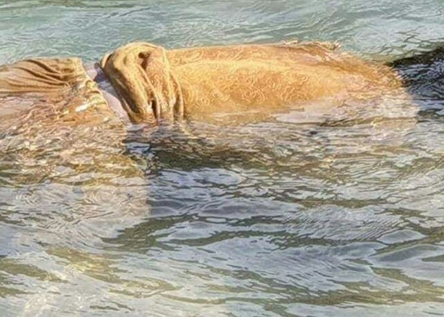 مدین میں دریاء سوات سے خاتون کی بوری بند لاش برامد