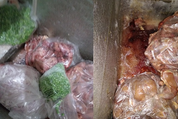 حلال فوڈ اتھارٹی کے چھاپے ،دکانداروں پرجرمانہ عائد